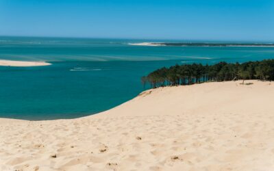 Ménage sur le Bassin d’Arcachon : comment trouver une aide à domicile fiable et professionnelle ?