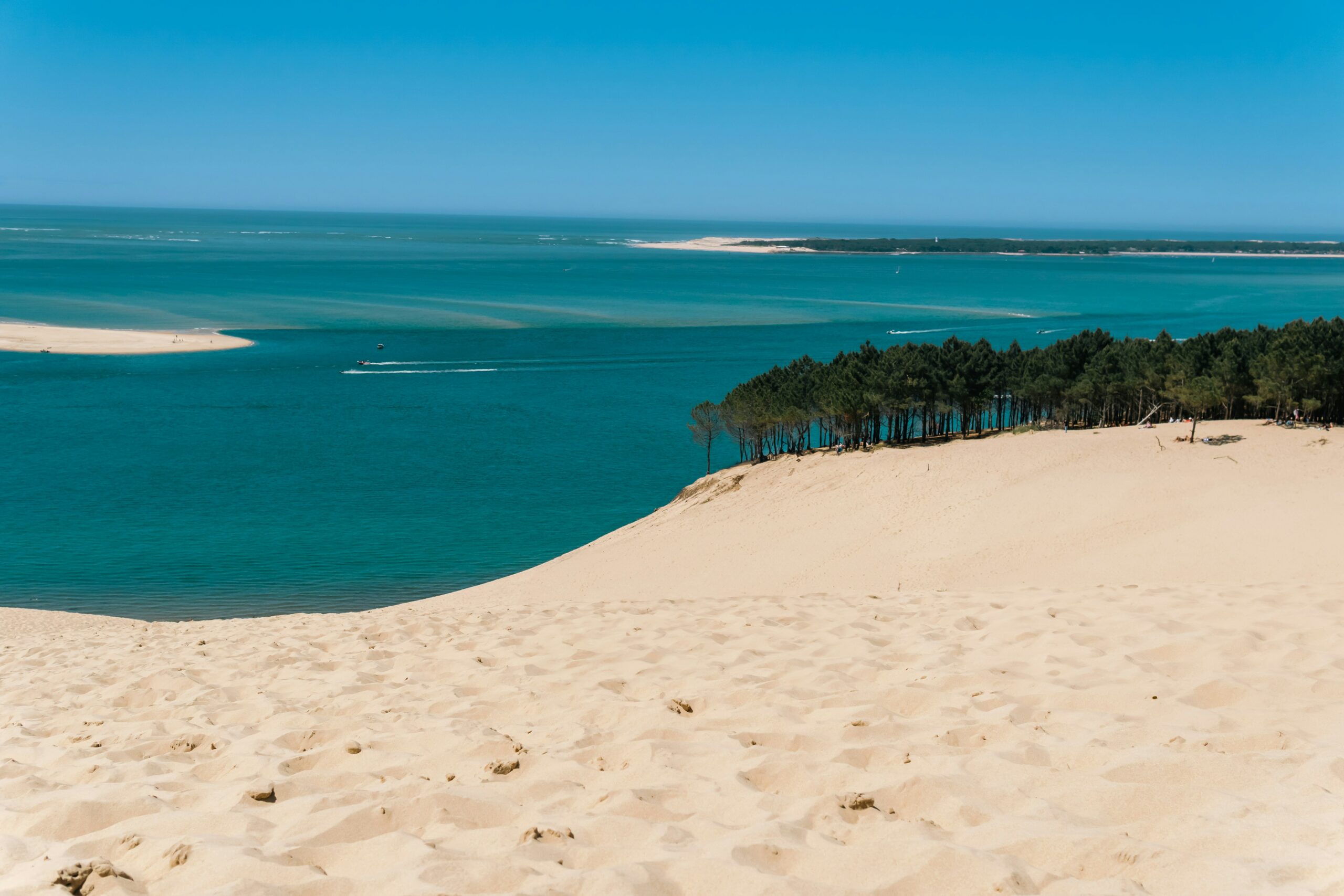 actualités - arcadom service