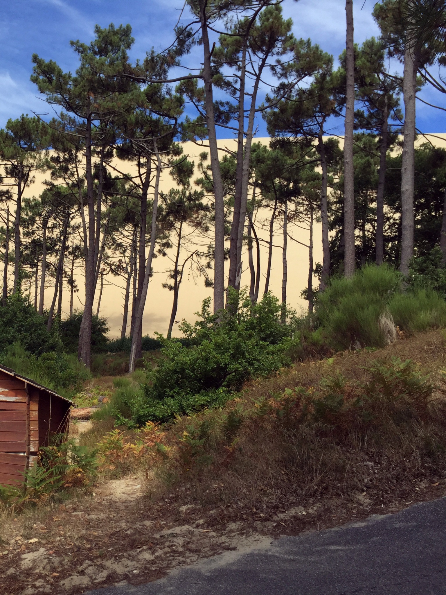 arcachon - arcadom service - aide ménagère à domicile (1)