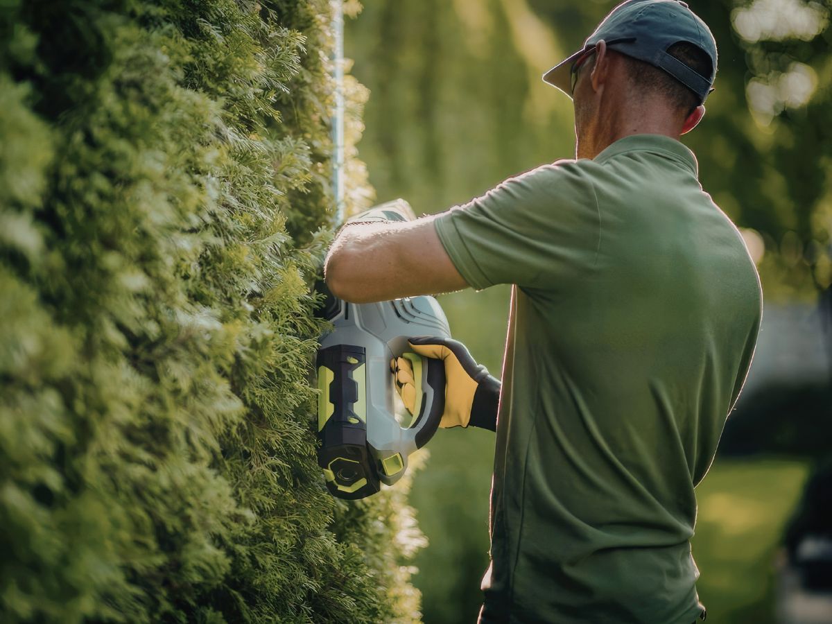 entretien de jardin - arcadom service