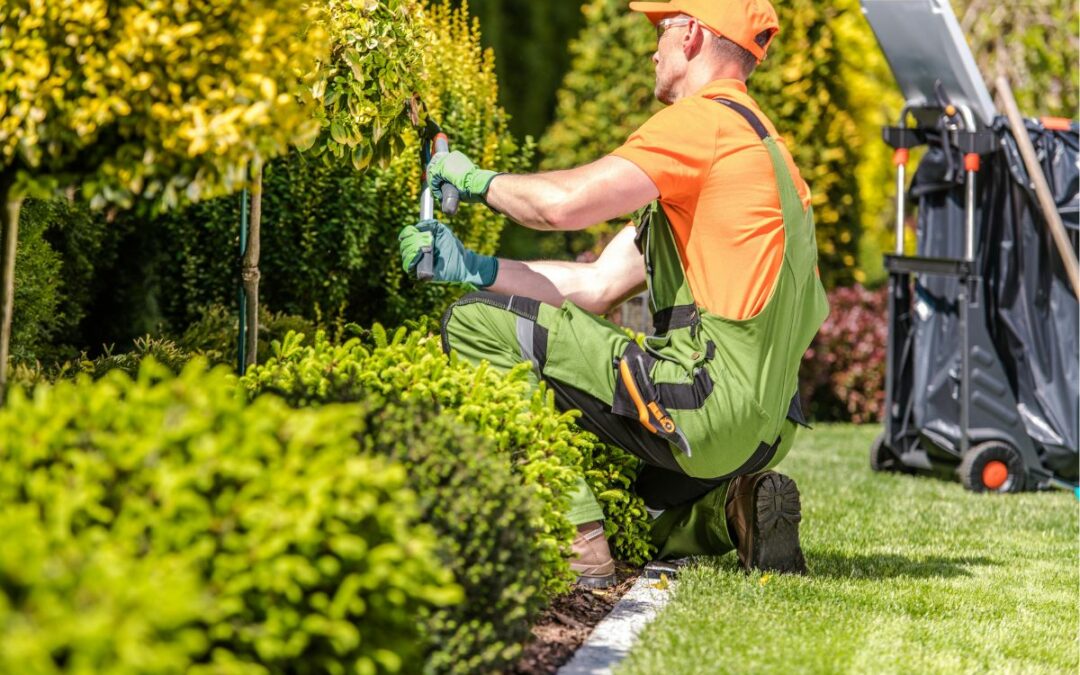 entretien de jardin - arcadom service