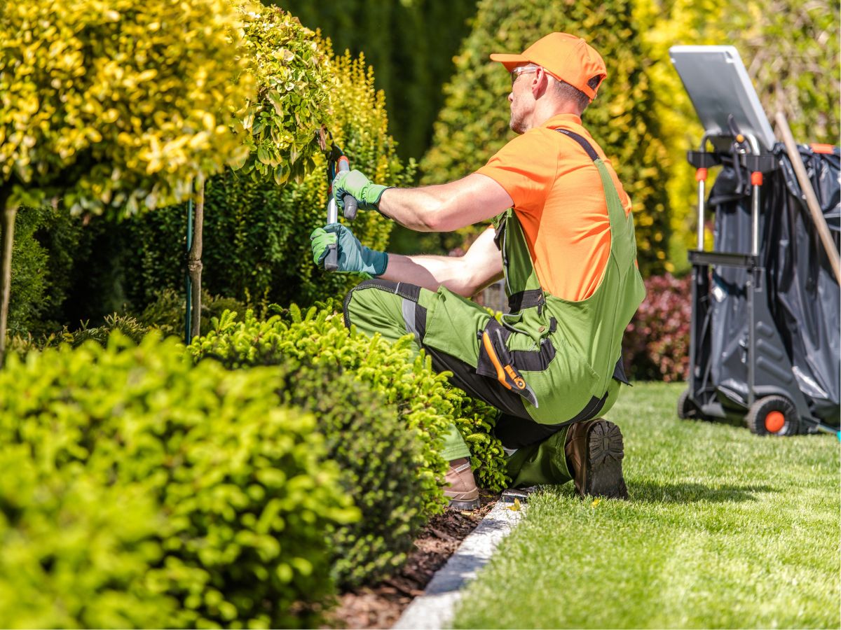 entretien de jardin - arcadom service