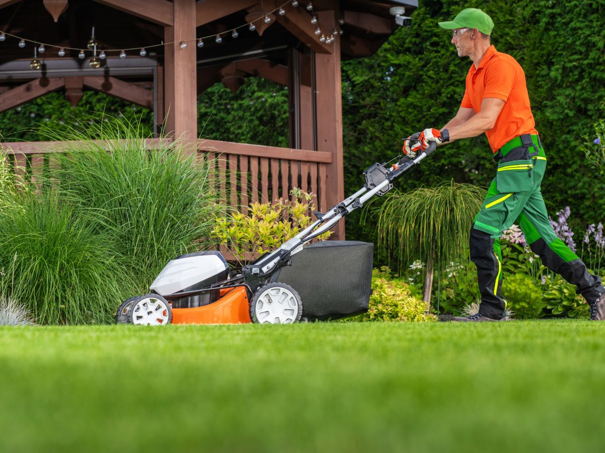 entretien de jardin - arcadom service